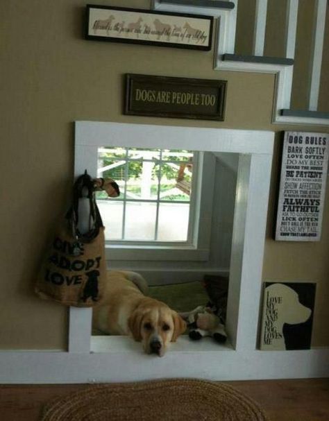 Canine Training Tips House Under Stairs, Brilliant Ideas Diy, Room Under Stairs, Indoor Dog House, Friends Design, Positive Dog Training, Pet Projects, Pet Spaces, Basic Dog Training