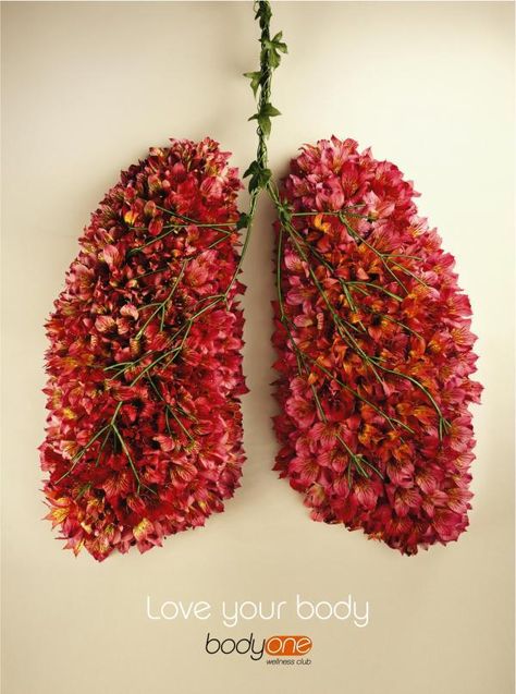 65 roses http://www.gofundme.com/helptuckerbreathe … #helpTuckerBreathe @FundTucker #cysticfibrosis Made Flowers, Anatomy Art, Lungs, Red Aesthetic, The Words, In The Middle, Flower Power, The Middle, Anatomy