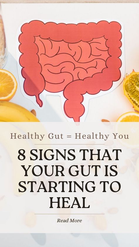 Discover the 8 signs that show your gut is healing! Feel better and live healthier with these positive indicators. 🌿💚 #GutHealth #WellnessJourney Healing Your Gut And Hormones, Heal The Gut Naturally, Stomach Healing Foods, How To Heal Gut, Healing Gut Health, Hormonal Eating, How To Heal Your Gut, Heal Gut Naturally, Gut Healing Foods