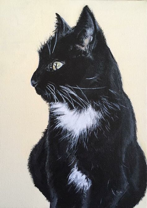 Acrylic paint pet portrait on canvas. Black and white cat, Liqourice. www.facebook.com/abibartlett.petportraits Black And White Cat Portrait Tattoo, Black And White Cat Sketch, Black And White Cat Painting Acrylic, Black Cat Painting Acrylic Easy, Cat Black And White Drawing, Black And White Cat Painting, Black And White Cat Drawing, Black And White Cat Art, Cat Portrait Tattoos