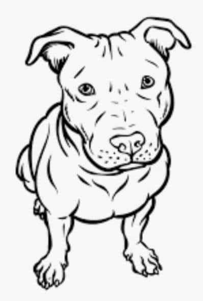 Pit Bull Drawing, Pitbull Drawing, Pitbull Art, Cloud Tattoo, Coloring Pages Printable, Page Ideas, Hand Art Drawing, Hand Art, Room Posters