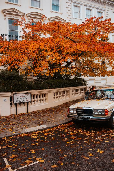 From my London Prints Photography Collection: Notting Hill autumn season. This listing is for a high quality print, unmounted and unframed. The size demonstrated in the listing photography is 5x7 dimensions. Sizes available: 5x7 8x10 (cropped) 8x12 11x15 (cropped) - made to order, will take few more days to deliver 16x20 (cropped) -made to order, will take few more days to deliver Check out my other photos from London collection: https://www.etsy.com/uk/shop/LifechangeArtStudio Because of the va Vintage London Aesthetic, Warm Fall Aesthetic, Fall In London, Fotos Asthetics, Autumn London, Uk Autumn, London Prints, London Autumn, Autumn Street