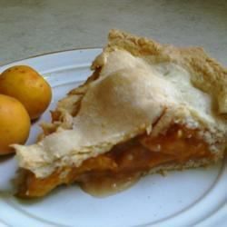 Apricot Pie Apricot Pie Recipe, Canning Zucchini, Apricot Pie, Pie Christmas, Dried Apricot, Chocolate Peanut Butter Desserts, Apricot Recipes, Fruit Pies, Fried Pies