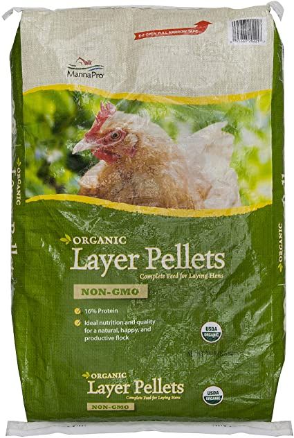 Chicken Layer Feed, Organic Chicken Feed, High Protein Chicken, Layer Feed, Chicken Fence, Layer Chicken, Chicken Kitchen, Poultry Feed, Chicken Eating