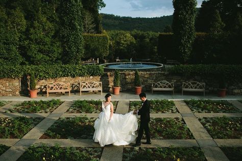 North Carolina Wedding Venues, Carolina Wedding Venues, Asheville Nc Wedding, Craggy Gardens, Wedding Venues North Carolina, Wedding Mountain, Garden Wedding Reception, How To Elope, Asheville Wedding