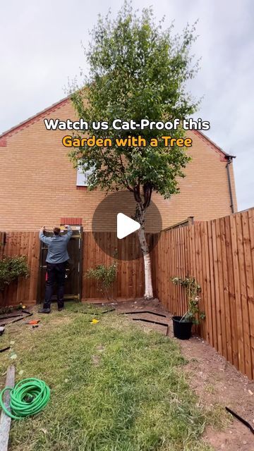 ProtectaPet on Instagram: "Cat-Proofing a garden with ProtectaPet Cat Fence Barriers with a tree 🌲😻❤️ #cats #tree #catproofgarden" Cats Tree, Cat Fence, Cat Tree House, Cat Proofing, Cat Stuff, Cat Tree, Cat Furniture, Cat House, A Tree