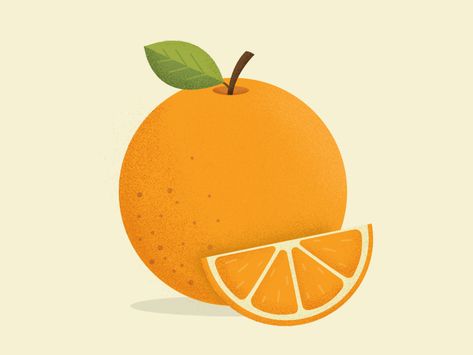 Orange Slice Illustration, Cute Orange Drawing, Orange Fruit Drawing, Orange Slice Drawing, Fruity Birthday Cake, Orange Fruit Illustration, Nutcrackers Display, Orange Drawing, Orange Stuff