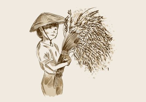 Rice Field Drawing, Rice Field Illustration, Rice Field Background, Harvest Drawing, Rice Drawing, Rice Illustration, Rice Art, Field Background, Cambodian Art