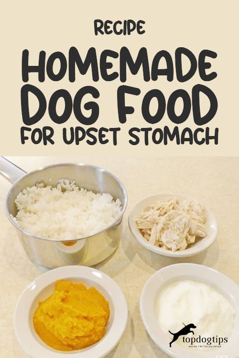 Elderly Dog Food Recipes, Dog Digestive Remedies, Bland Diet For Dogs With Upset Stomach, Homemade Dog Food Sensitive Stomach, Dog Food For Sensitive Stomachs, Upset Stomach Remedy For Dogs, Puppy Homemade Food, Bland Meals For Upset Stomach, Dog Food Recipes For Sensitive Stomachs