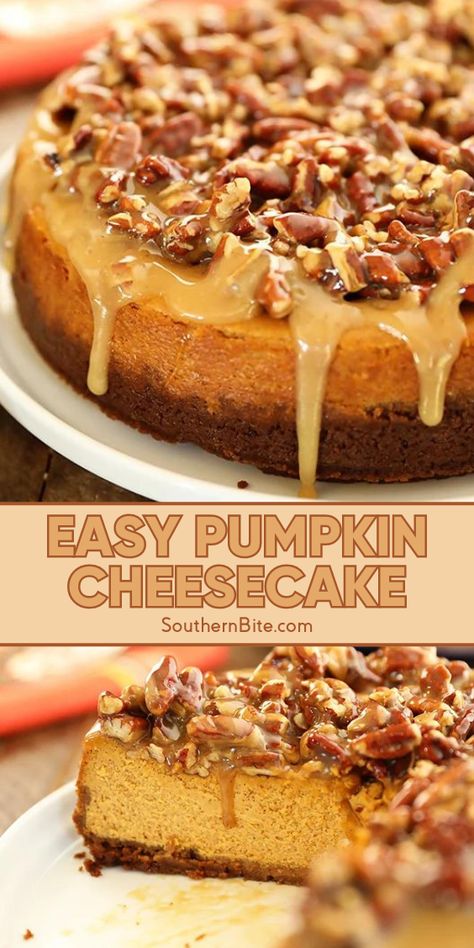 Check out this new take on cheesecake that swaps out the basic graham cracker crust for a gingersnap cookie crust, then tops that off with a caramel pecan topping. This easy and delicious recipe brings together the best of pumpkin, cheesecake, and pecan pie in one delicious dessert that's sure to be a hit at your next gathering! Maple Pecan Pumpkin Cheesecake, Pumpkin Cheesecake With Streusel Topping, Cheesecake With Walnut Crust, Pumpkin Pecan Cheesecake Factory, The Best Pumpkin Cheesecake Recipe, Pumpkin Cheesecake Pound Cake, Pumpkin Cheesecake With Candied Pecans, Walnut Cheesecake Crust, Graham Cracker Crust Pumpkin Cheesecake