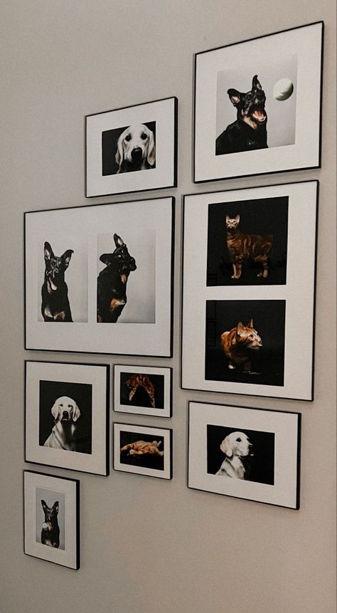 Dog Portrait Wall Decor, Pet Room Decor Ideas, Dog Photo Gallery Wall, Dog Frames Ideas Wall Art, Pet Portrait Gallery Wall, Dog Photo Collage Ideas, Pet Pictures Wall, Pet Collage Wall, Dog Photo Frame Ideas