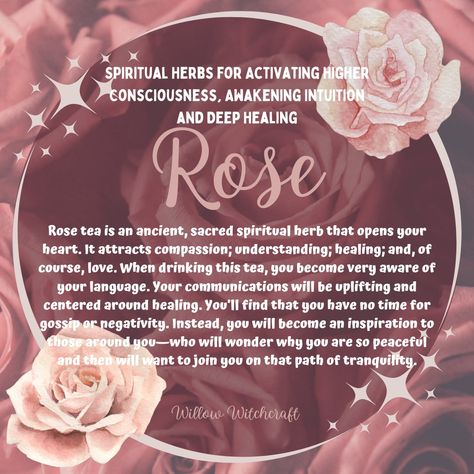 Rose In Witchcraft, Dried Rose Petals Witchcraft, Rose Petal Uses Witchcraft, Roses Witchcraft, Rose Magical Properties, Rose Spiritual Meaning, Rose Witchcraft, Rose Benefits, Rose Herb