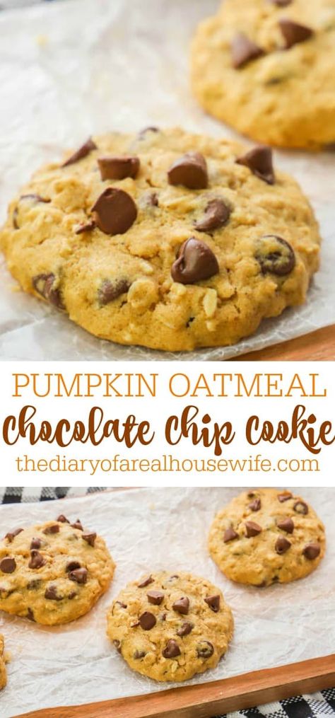 Oatmeal Chocolate Cookies, Pumpkin Oatmeal Chocolate Chip, Pumpkin Oatmeal Chocolate Chip Cookies, Oatmeal Chocolate Chip Cookie, Pumpkin Oatmeal Cookies, Pumpkin Cookie Recipe, Oatmeal Chocolate Chip, Pumpkin Chocolate Chip Cookies, Choc Chip Cookies