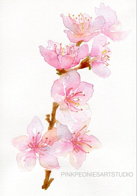 Plum Blossom Watercolor, Water Colour Cherry Blossom, Japanese Cherry Blossom Painting Easy, Watercolor Art Flowers Simple, Japanese Painting Easy, Flower Branch Painting, Pink Simple Wallpaper, Sakura Flower Illustration, Watercolor Japanese Art