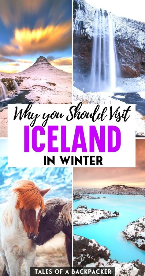 New Years In Iceland, Iceland At Christmas, Iceland New Years Eve, Best Time To Visit Iceland, Iceland Winter Travel, Iceland Winter Itinerary, Iceland Winter Outfits, Christmas In Iceland, Iceland In March