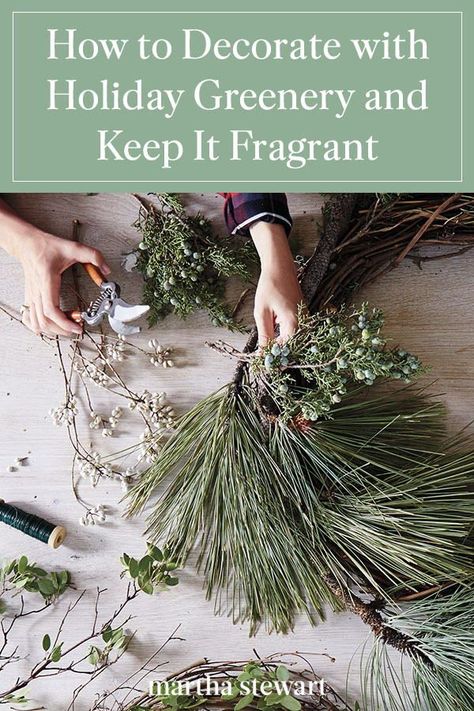 Learn how to make your fresh holiday greenery like evergreen boughs, pinecones, and winter berries in wreaths, garlands, and the Christmas tree itself—last through the season. Use our holiday greenery guide to help you create fragrant DIY holiday decor in a few steps. #marthastewart #christmas #diychristmas #holidaydiyideas #diycrafts #crafts Fresh Evergreen Garland, Diy Fresh Greenery Wreath, Making Fresh Christmas Wreaths, Evergreen Boughs Decorating Ideas, Christmas Foliage Decorations, Decorating With Fresh Greens Christmas, Christmas Evergreen Decor, Fresh Evergreen Decorations, Natural Greenery Christmas Decor