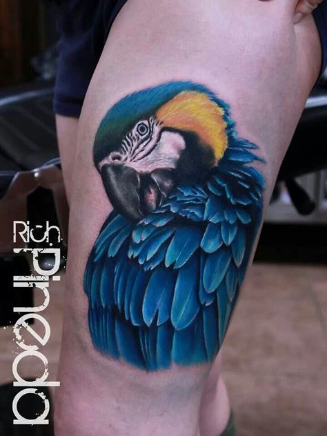 Rich Pineda tattoos... Macaw Tattoo, Parrot Tattoo, Pinup Tattoo, Night Tattoo, Koi Tattoo Design, Tattoo Practice, King Tattoos, Koi Tattoo, Tasteful Tattoos