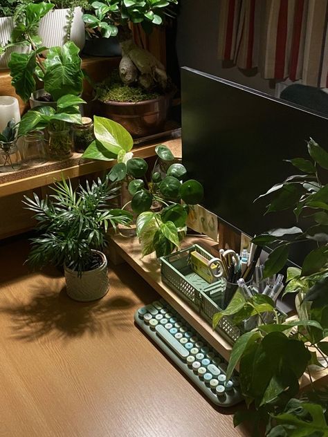 Plant Pc Setup Aesthetic, Framed Computer Monitor, Plant Room Desk, Aesthetic Room Decor Plants, Plant Gamer Room, Plant Gaming Room, Plant Desk Aesthetic, Desk Plants Aesthetic, Plant Pc Setup