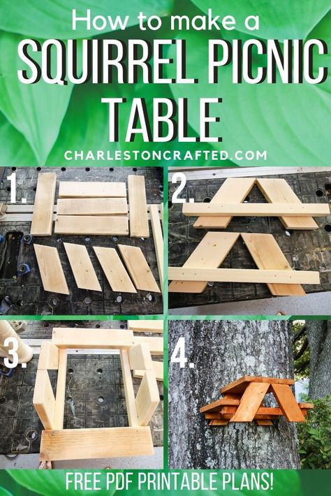 How to make a squirrel picnic table Squirrel Picnic Table Feeder Diy Plans, Diy Squirrel Picnic Table Feeder, Squirrel House Diy, Squirrel Picnic Table Feeder, Squirrel Table, Squirrel Feeder Diy, Picnic Table Woodworking Plans, Squirrel Picnic Table, Printable Woodworking Plans