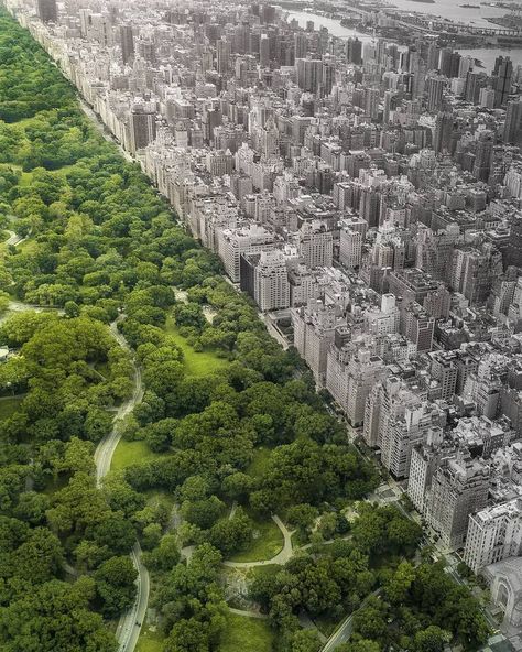 #nycviews #loves_nyc #nyc #newyorkcity #nyc_insta #nyc_explorers #brooklynbridge #brooklyn #eastriver #manhattan #newyorker #nypix #nycgo #topnewyorkphoto #wow_newyork Ap Photography, Man Vs Nature, Cavo Tagoo Mykonos, Frederick Law Olmsted, Central Park Manhattan, Unseen Images, Nat Geo, Ulsan, Newsies