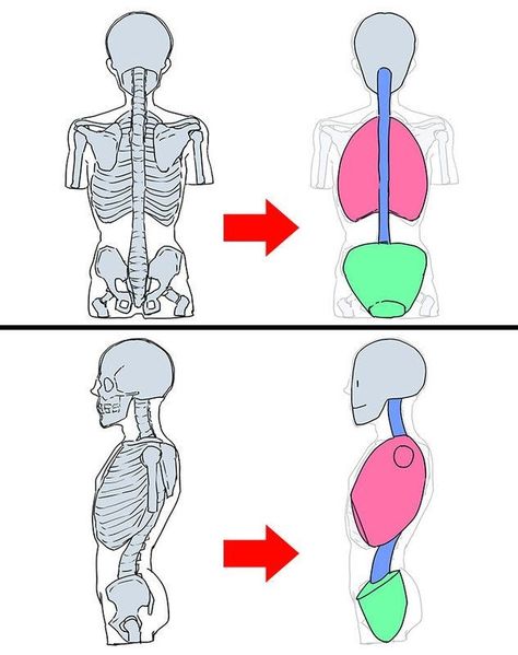 Bust Illustration, Male Figure Drawing, Illustration Tutorial, Anatomy Tutorial, Human Anatomy Drawing, Human Figure Drawing, Human Anatomy Art, Human Drawing, Anatomy Sketches