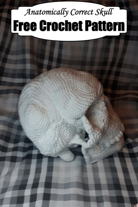 Crochet Skull Planter, Goat Skull Crochet Pattern Free, Crochet 3d Skull, Skull Free Crochet Pattern, Crochet Stuffed Animals Free Patterns Halloween, Crochet Skull Amigurumi, Crochet Skeleton Plushie, Plauge Doctor Crochet, Skull Amigurumi Free Pattern