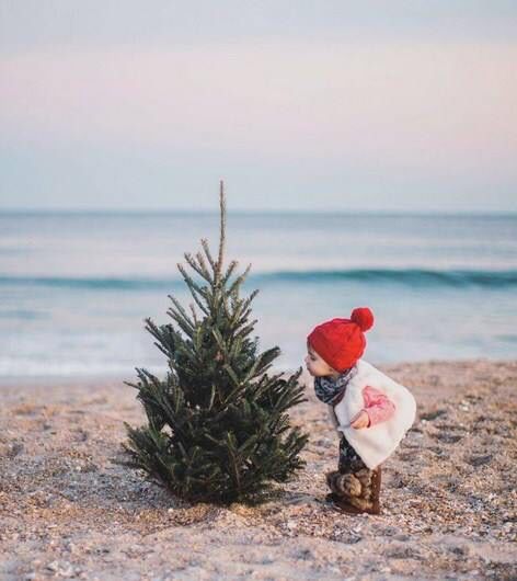 Florida Christmas Photoshoot, Christmas Beach Family Photo Ideas, Beach Xmas Photos, Christmas Photos On Beach, Christmas Pictures At The Beach, Florida Christmas Pictures, Christmas Family Beach Photos, Christmas Card Beach Photo Ideas, Beach Family Christmas Photos