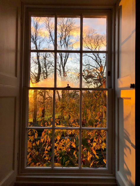 #autumn #window #last #leaves Autumn Wallpaper Landscape, Autumn Window Aesthetic, English Autumn Aesthetic, Light Autumn Aesthetic, Fall Morning Aesthetic, Cosy Autumn Aesthetic, Whimsigoth Autumn, Foliage Aesthetic, Autumn Aesthetic Photography