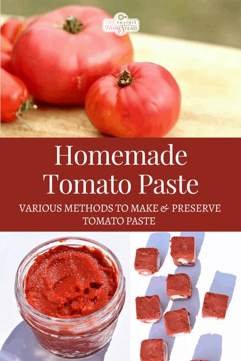 Make Tomato Paste, Homestead Baking, Homestead Food, Homemade Tomato Paste, Tomato Paste Recipe, Homestead Cooking, Canning Granny, The Prairie Homestead, Freezing Tomatoes