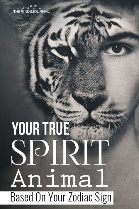 Your True SPIRIT Animal Based On Your Zodiac Sign Aries Pisces Cusp, Spirit Animal Tattoo, Spirit Animal Quiz, Zodiac Couples, Spiritual Animal, Manifest Destiny, Zodiac Sign Astrology, Animal Based, Your Spirit Animal