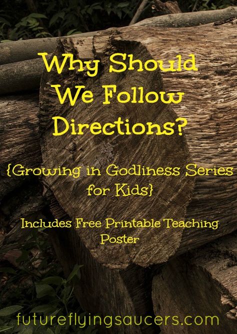 Use the story of Noah to teach children the importance of following directions. {Growing in Godliness Series} ~ futureflyingsaucers.com Bible Object Lessons For Kids, Object Lessons For Kids, Kids Church Lessons, Sunday School Curriculum, Bible Object Lessons, Childrens Sermons, Teaching Posters, Flying Saucers, Sunday School Activities