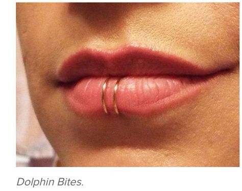 Dolphin bites Dolphin Bites Piercing Lips, Gold Lip Ring, Dolphin Bites Piercing, Dolphin Bites, Orc Barbarian, Dnd Orc, Sparkly Accessories, Gold Lips, Shark Bites