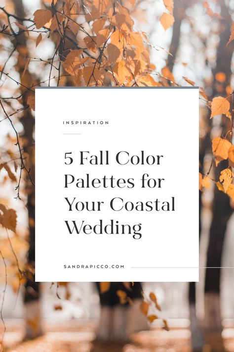 Fall Wedding At The Beach, Fall Wedding On The Beach, Beach Wedding In The Fall, Florida Fall Wedding Colors, Fall Beach Wedding Centerpieces, Fall Beach Wedding Colors November, Fall Beach Wedding Color Palette, Beachy Fall Wedding, Beach Wedding Fall Colors