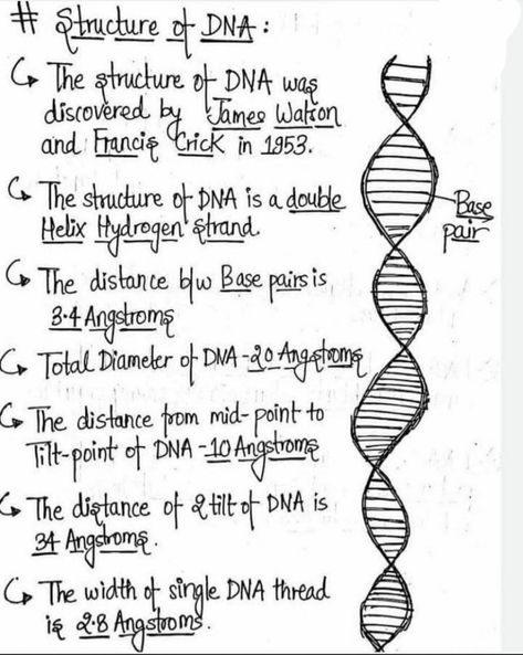 Neet Exam Notes Biology Tricks, Neet Exam Notes, Medical Terminology Study, Biochemistry Notes, Neet Notes, Biology Diagrams, Dna Structure, Learn Biology, Chemistry Basics