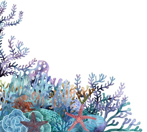 under ocean life element with watercolor painted , Coral reef Watercolor Coral Reef, Coral Reef Drawing, Under The Sea Background, Coral Painting, Coral Reef Art, Under Ocean, Sea Drawing, Ocean Illustration, Graphic Shapes Design