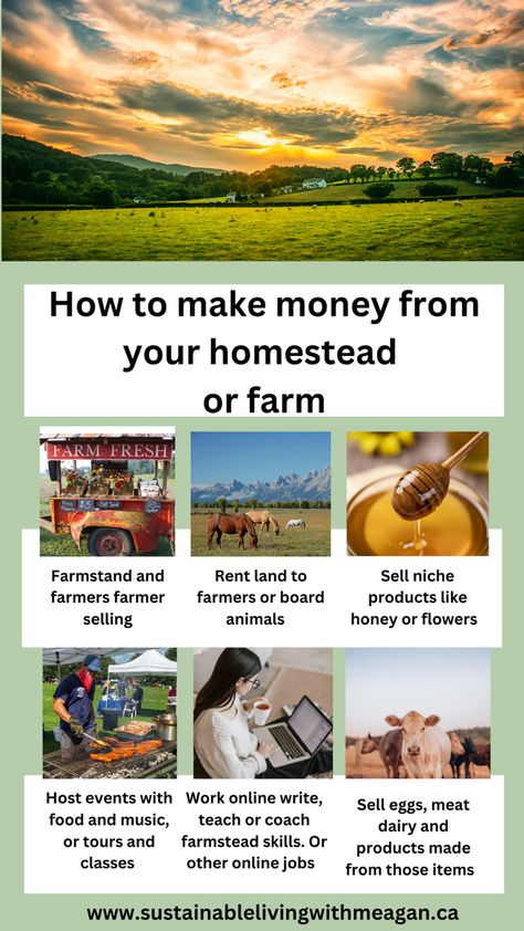 How To Start A Farm Business, How To Start A Farm With No Money, Farm Products To Sell, How To Start A Farm, Agritourism Ideas Farms, Homestead Business, Agritourism Farms, Aesthetic Farm, Venue Business