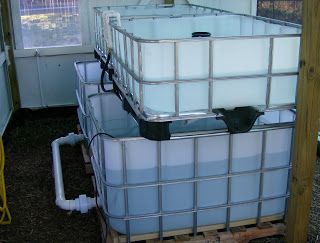 How to convert IBC tote for aquaponics use. Aquaponics Aquarium, Aquaponics Greenhouse, Backyard Aquaponics, Ibc Tank, Diy Fish Tank, Aquaponics Fish, Aquaponics Diy, Aquaponic Gardening, Diy Tank