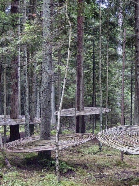 'Tomografia drzewa' (Tree tomography) (2014) by Polish land artist Mirosław Maszlanko (b.1963). source: now in art post 4 Landart Festival 2014. via Contemporary Basketry: In the Trees Boom Kunst, Garden Clothing, Andy Goldsworthy, Woodland Scene, Earth Art, Forest Art, Sculpture Installation, Outdoor Art, Land Art