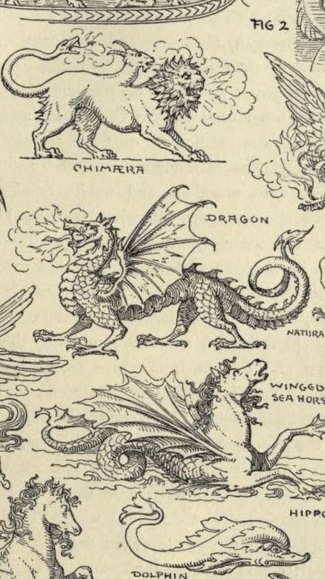 Medieval Fish Illustration, Illuminated Manuscript Illustration, Medieval Art Dragon, Dragonology Illustrations, Dragon Vintage Illustration, Medieval Manuscript Tattoo, Fairytale Dragon Tattoo, Woodcut Dragon Tattoo, Old Dragon Art