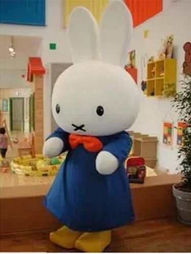 Miffy Rabbit Mascot Costume Adult Mascot Costume Miffy Rabbit for Festival http://www.mascotshows.com/product/clever-rabbit-mascot-adult-costume.html Miffy Halloween Costume, Miffy Costume, Bugs Bunny Costume, Miffy Party, Bunny Mascot, Parade Dress, Easter Costume, Adult Fancy Dress, Bunny Costume