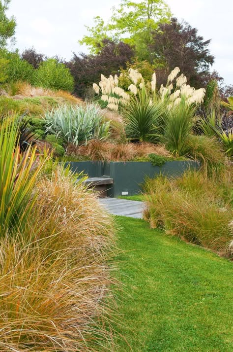 Garden Ideas Nz, Nz Plants, Nz Garden, Native Plant Landscape, Native Gardens, Australian Garden, Coastal Gardens, Grasses Garden, Garden Shrubs