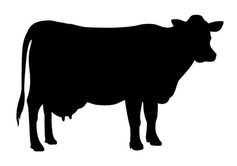 Cow Silhouette Cow Silhouette, Cricut Animals, Favor Table, Cow Clipart, Animal Stencil, Silhouette Clip Art, Silhouette Images, Silhouette Stencil, Silhouette Vinyl