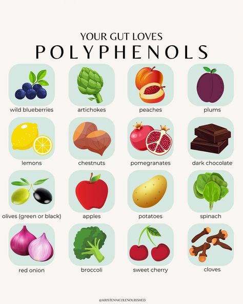 Gut Nutritionist | Kristen on Instagram: “Your gut loves polyphenols 🍎🍑🍋🥑🫐🍠 🚨SAVE this post for your next grocery shopping trip!🚨 What exactly are polyphenols? ⤵️ Polyphenols are…” Polyphenols Food List, Polyphenol Rich Foods List, Polyphenol Rich Recipes, High Polyphenol Foods, Foods High In Polyphenols, Polyphenol Rich Foods, Polyphenols Food, Probiotic Food, Prebiotic Foods