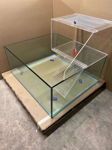 Gallery View | Glass Cages Aquarium Design For Turtles, Turtle Basking Area, Turtle Tank Ideas, Turtle Cage, Turtle Tanks, Leopard Gecko Care, Musk Turtle, Turtle Dock, Turtle Terrarium