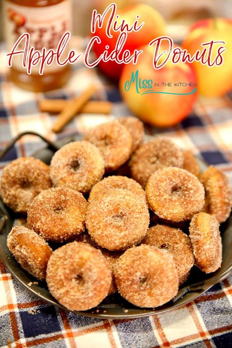 Apple Cider Doughnut Recipe, Mini Donut Recipes, Claire Saffitz, Cider Donuts Recipe, Apple Cider Donuts Recipe, Mini Donuts Maker, Best Apple Cider, Apple Cider Donuts Baked, Fall Eats