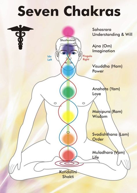 Ayurveda Massage, Chakra Chart, Chakra Mantra, Point Acupuncture, Yoga Kundalini, The Seven Chakras, Yoga Mantras, Seven Chakras, Les Chakras