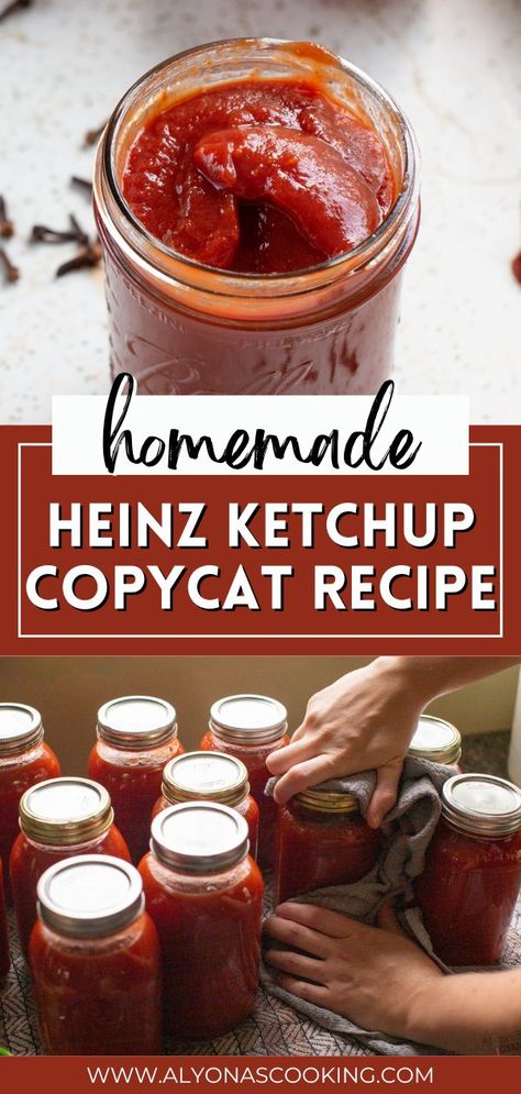 Canned Ketchup, Homemade Ketchup Recipes, Ketchup Recipe, Homemade Ketchup, Home Canning Recipes, Heinz Ketchup, Homemade Pantry, Canning Food Preservation, Homemade Condiments