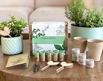 Seed Starter Kit, Herb Markers, Herb Garden Kit, Indoor Herb, Seed Starter, Seed Pack, Herb Planters, Organic Soil, Garden Tool Set