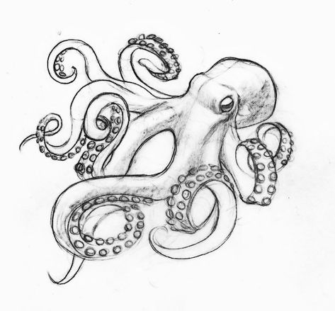 Elbow Octopus Tattoo, Cracken Octopus Drawing, Kraken Drawing Easy, Drawing Octopus Simple, Octopus Sketch Drawings, Scary Octopus Drawing, Octopus Ink Drawing, Lantern Fish Tattoo, Octopus Drawing Step By Step