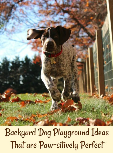 Backyard Dog Playground Ideas That are Paw-sitively Perfect Dog Playground Backyard Ideas, Dog Playground Ideas, Backyard Dog Playground, Dog Playground Backyard, Playground Backyard, Puppy Playground, Dog Recall, Dog Kennel Designs, Pet Quotes